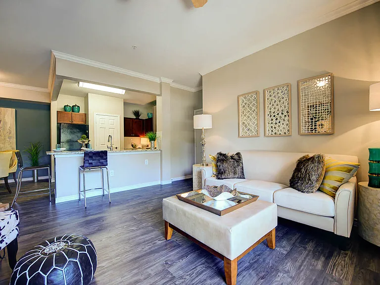 Callista Hill Country Apartments — Photo 9