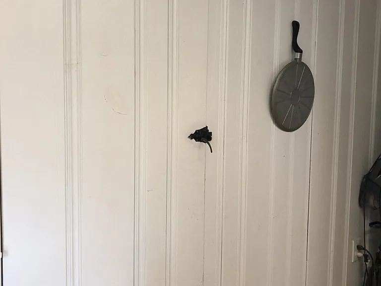 Kitchen pantry closet