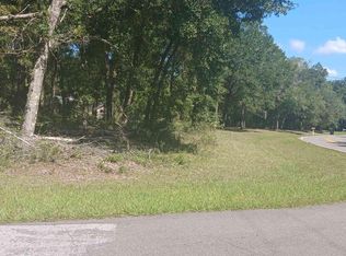 4174 Clove St, Middleburg, FL 32068