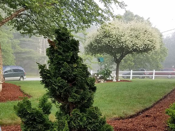 Updated EasyCare Landscaping