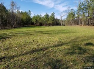80 Brownville Rd, Northport, AL 35475
