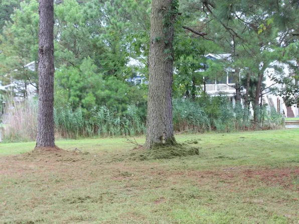 1176 Salty Way, Greenbackville, VA 23356