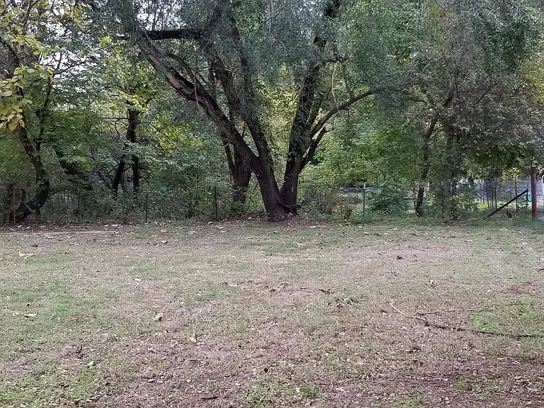 Back yard