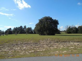 8864 White Hibiscus Ct, Keystone Heights, FL 32656