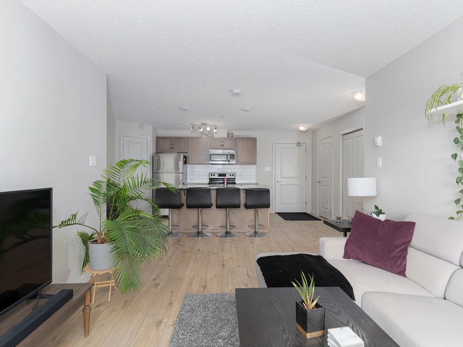 2 bed, 711 sqft, $1,800 — Photo 2