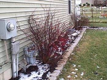 3rd image of 802 W 7th Ave