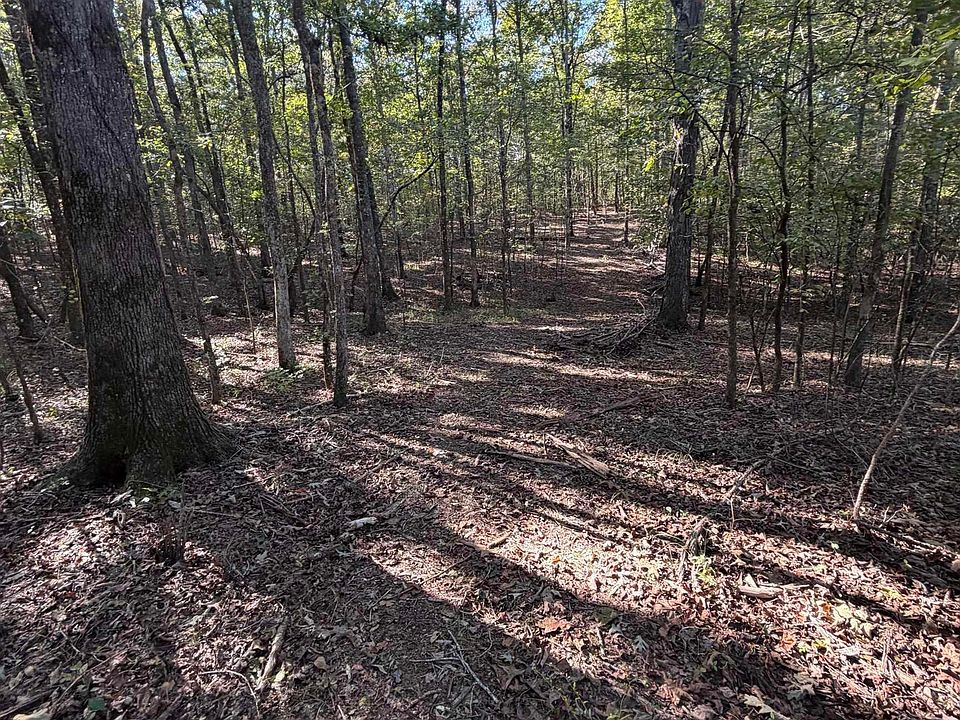 2nd image of 370 Lake Rd Tract 35
