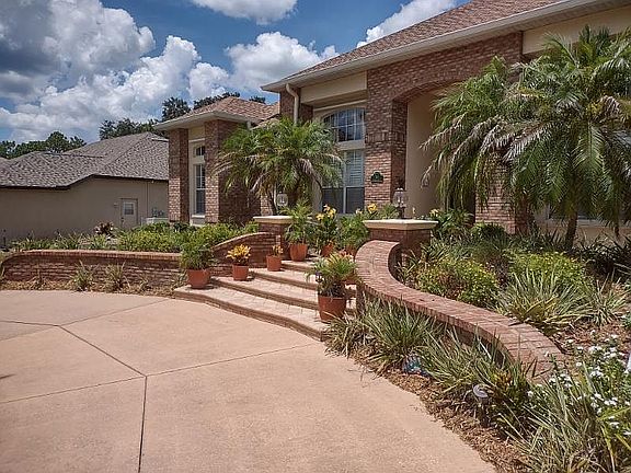 Front Steps and Plants