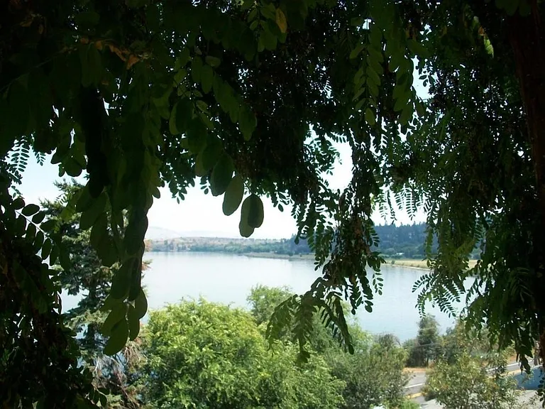 1663 Lakeshore Dr — Photo 19