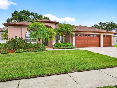16469 Turnbury Oak Dr, Odessa, FL, 33556