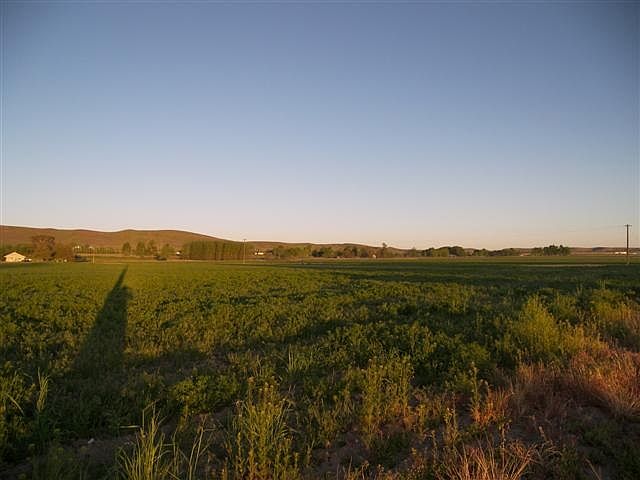 2nd image of Tbd Scotch Pines Rd