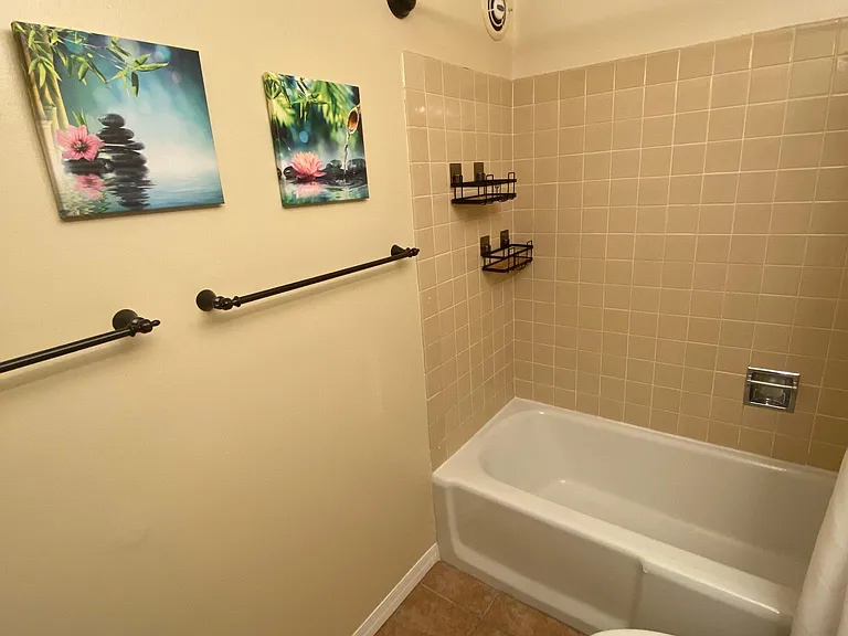 Guest Bathroom 1
