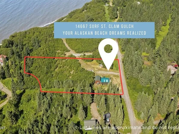 14667 Surf St, Clam Gulch, AK 99568