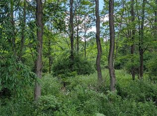 Case Rd Lot 13, Bainbridge, NY 13733