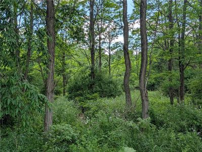 Case Rd Lot 13, Bainbridge, NY, 13733