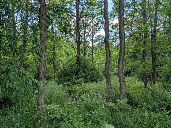 Case Rd Lot 13, Bainbridge, NY 13733