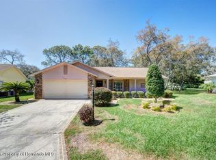 2493 Sun Tree Ct, Spring Hill, FL 34606