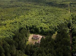 1067 Yalmer Rd, Skandia, MI 49885