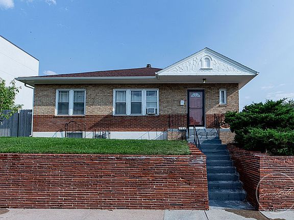 Japanese Cherry Tree 