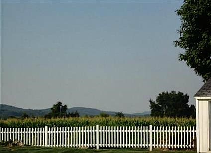 Gorgeous BackYard View