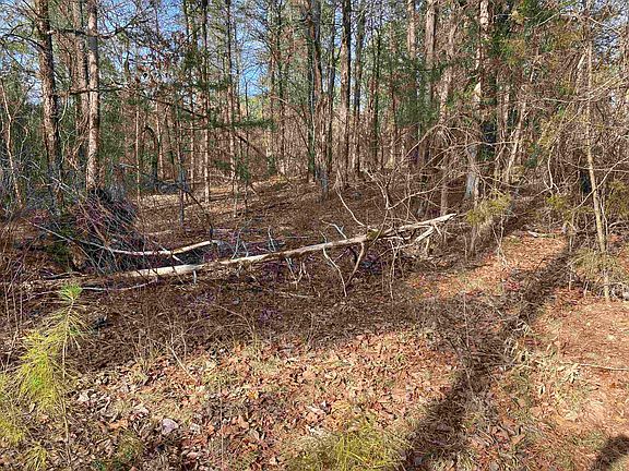 5th image of 400 Tree Farm Rd