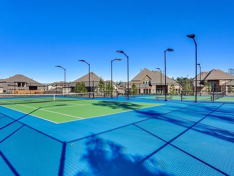 28511 Rose Vervain Dr — Photo 46