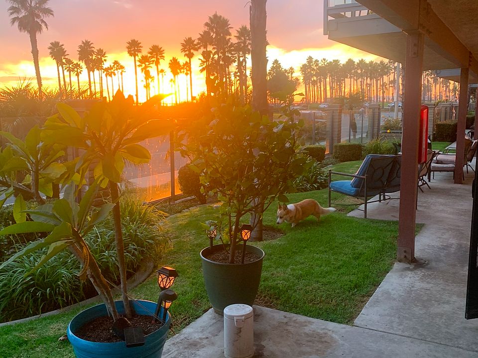 Sunset from porch and front yard