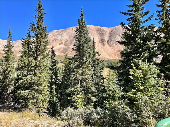 303 Silver Horseshoe Road LOT 01, Fairplay, CO 80440