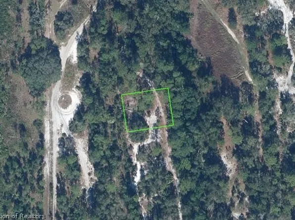 2314 Mink Rd, Avon Park, FL 33825