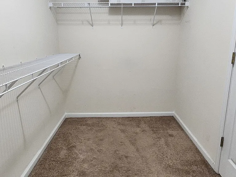 429 Buttonbush Ct — Photo 19