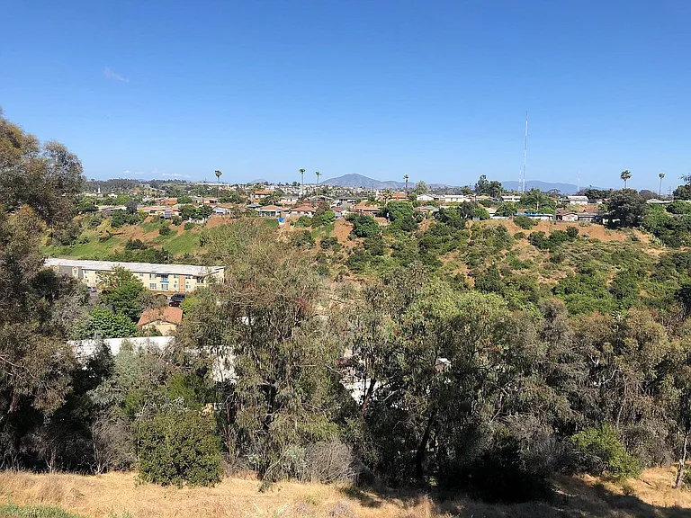 2813 Menlo Ave — Photo 38