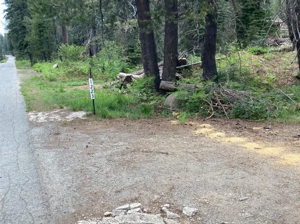 1223 Grizzly Loop, Bucks Lake, CA 95971