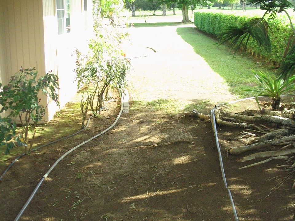 Side Yard