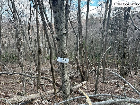 2nd image of 120 E Blueberry Lane