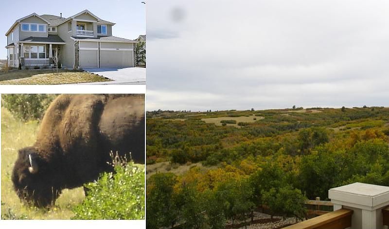 A Home Where the Buffalo Roam, backing to over 1000 acres Daniels Park.