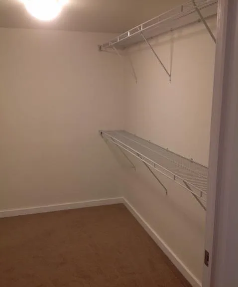 Large Walk in Closet