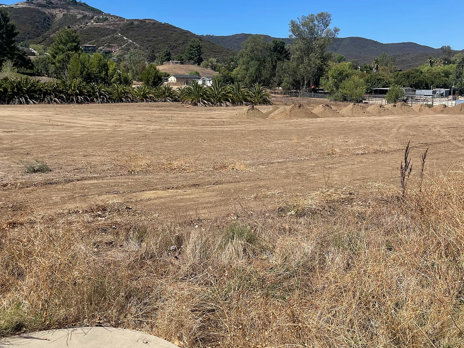 1 bed, 100000 sqft, $3,500 — Photo 2