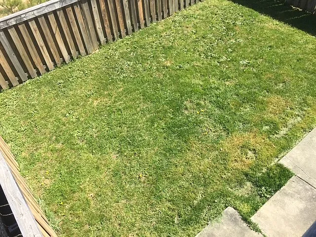 46352 Columbus Dr #1401 — Photo 18