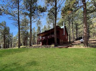 65 Road 12, Eagle Nest, NM 87718