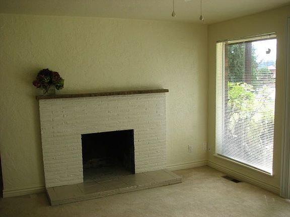 Living room fireplace