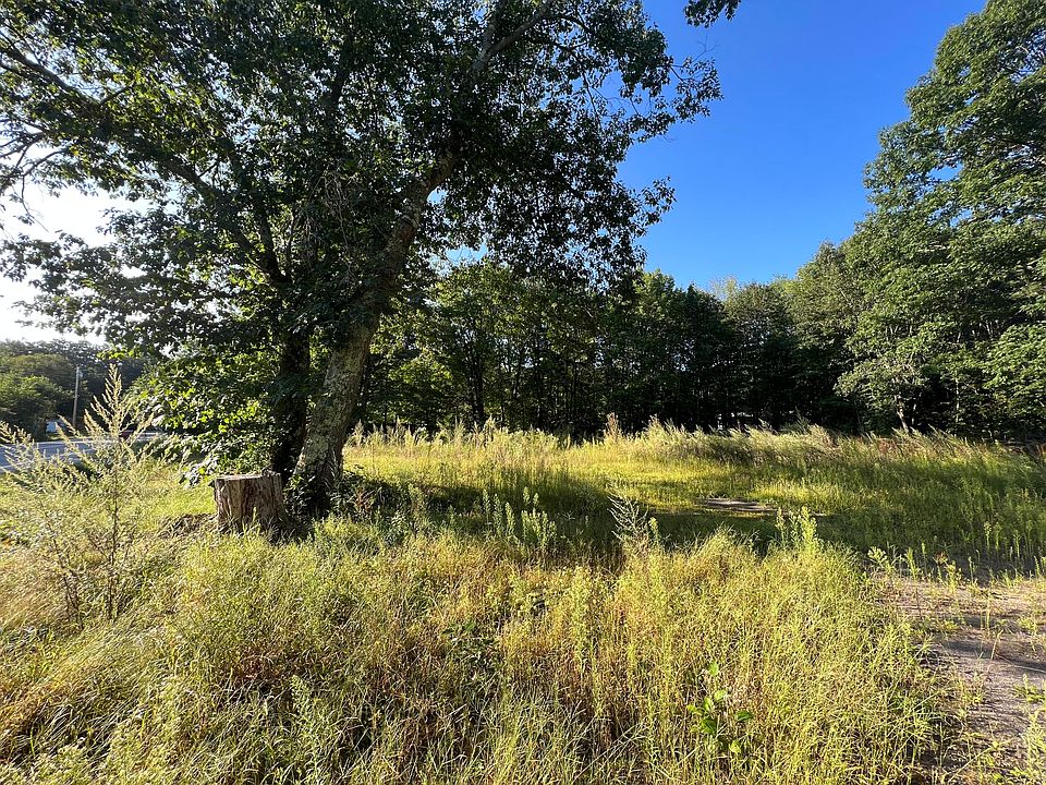 2nd image of 299 Beech Plains Road