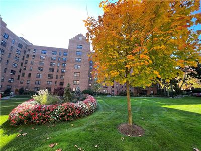192 Garth Road #5O, Scarsdale, NY, 10583