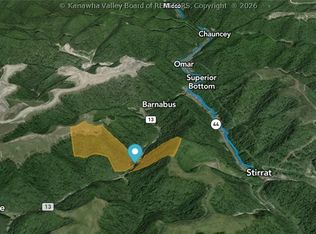 36 Grassy Meadow Trl, Omar, WV 25638