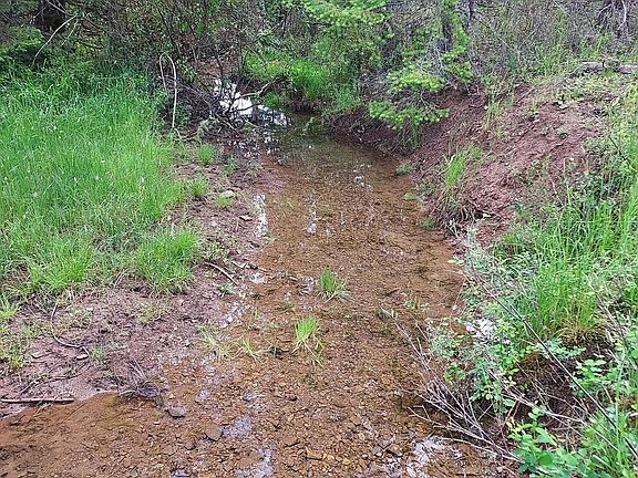 2nd image of Nka E Alder Creek Rd