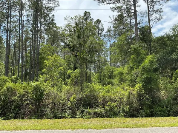 4365 VICKI STREET, HASTINGS, FL 32145