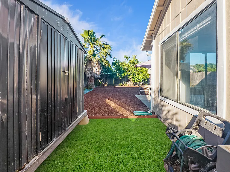Azores Cir — Photo 15