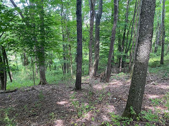 5th image of 122 Orchard Wood Path