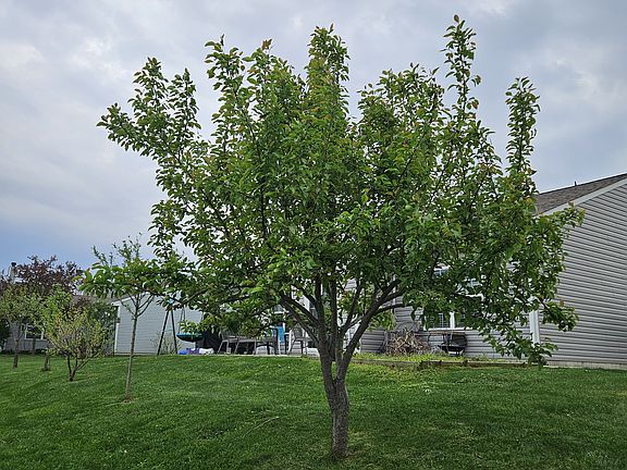 2nd image of 2399 Ashton Ln