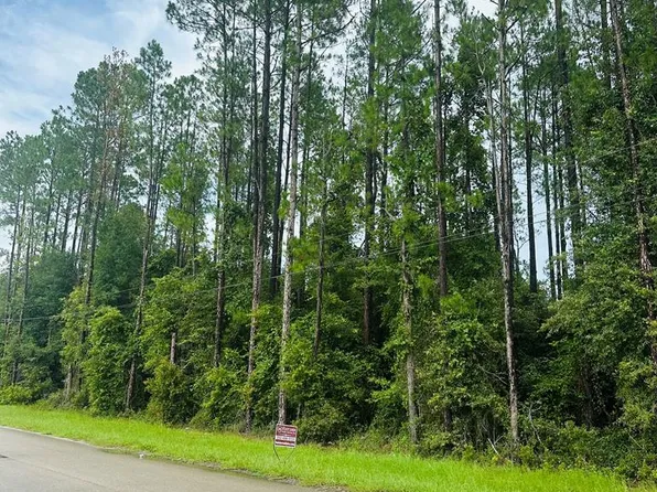Lot 2 NW 1st Ave, Trenton, FL 32693