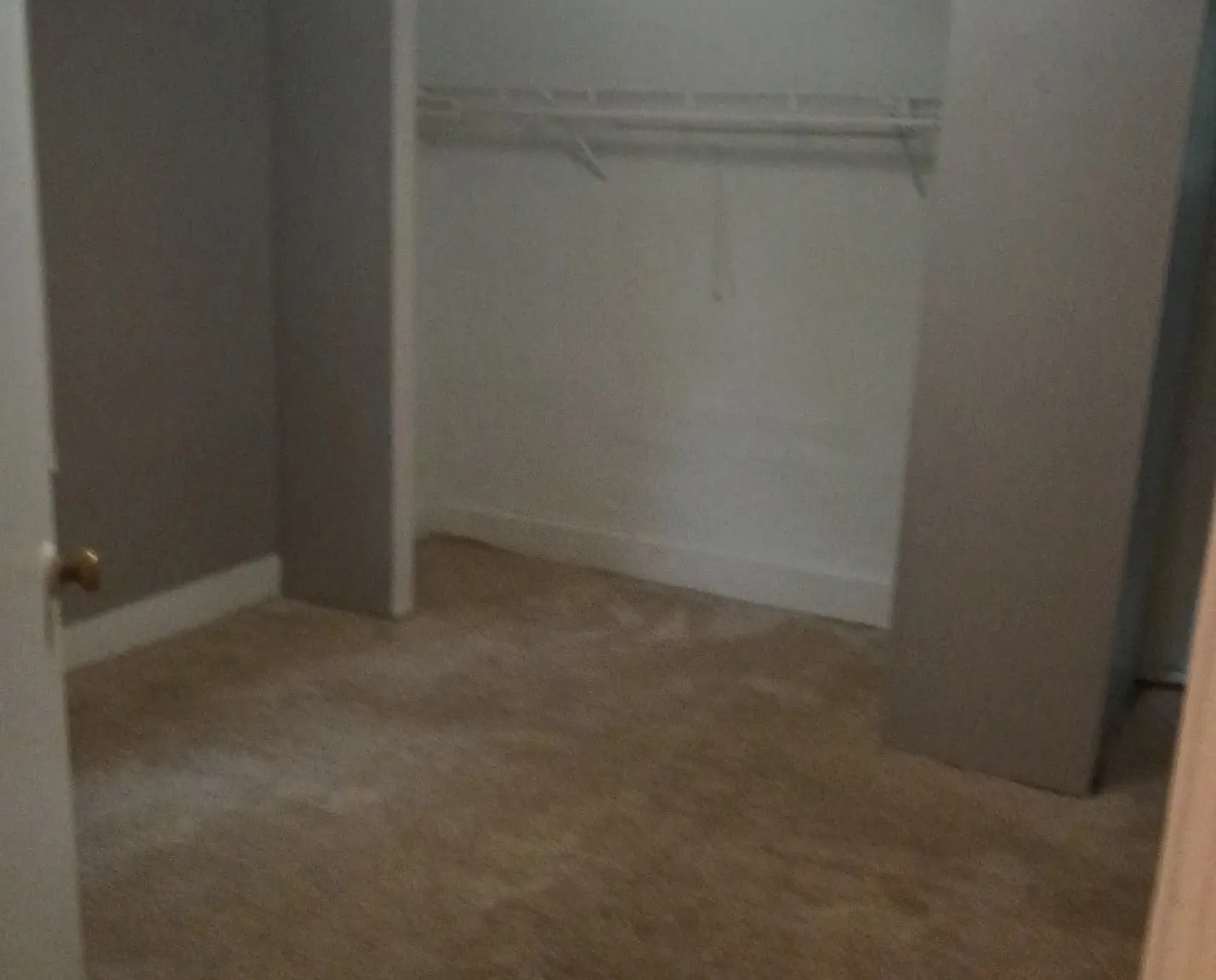 437 Morgan Street Northwest - 1 — Photo 3